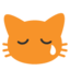 :crying_cat_face: 😿